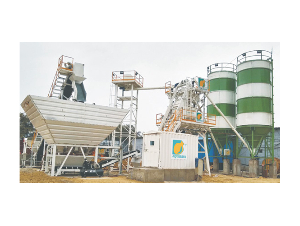Aquarius Compartment Bin Plant